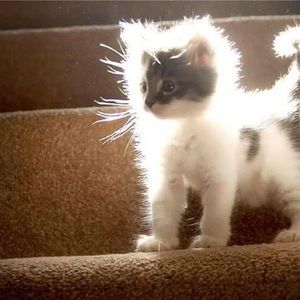 Meet your Posher, Jacob